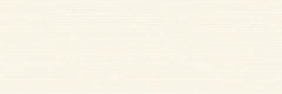 R.017 DELICE BEIGE 25x75 (плитка настінна)
