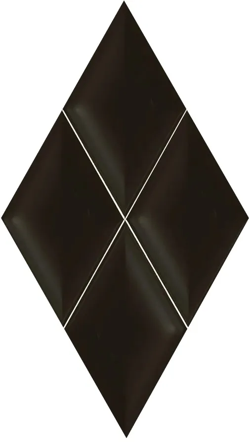 TABU NEGRO 56х32.5 (плитка настінна)