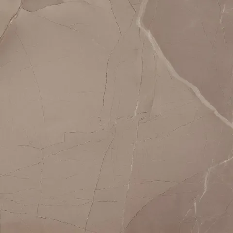 PASSION LUX 60 TAUPE 60x60 (плитка для підлоги і стін) B37