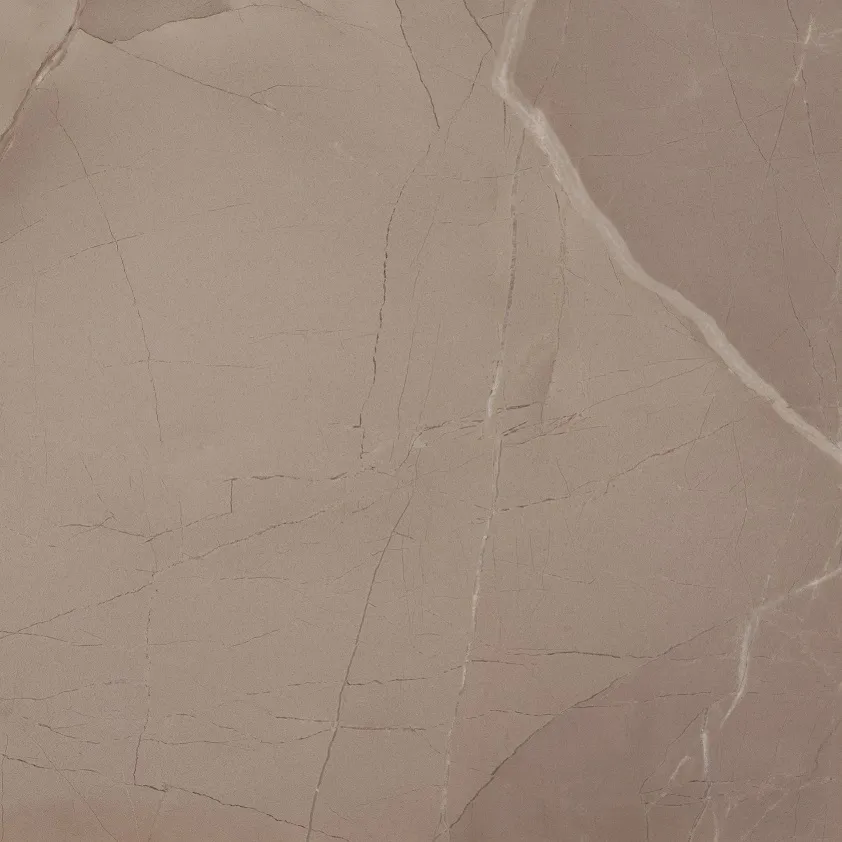 PASSION LUX 60 TAUPE 60x60 (плитка для підлоги і стін) B37