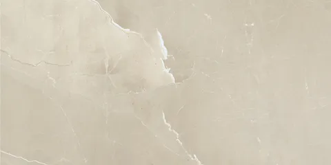 PASSION LUX CHAMPANGE 60x120 (плитка для підлоги і стін)
