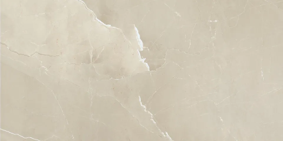 PASSION LUX CHAMPANGE 60x120 (плитка для підлоги і стін)