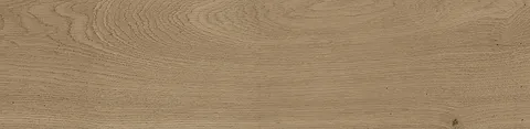 G340 FOREST NATURAL 22x90 (плитка для підлоги і стін)