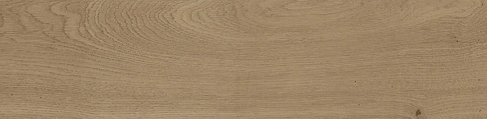 G340 FOREST NATURAL 22x90 (плитка для підлоги і стін)