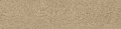 G340 FOREST ARCE 22x90 (плитка для підлоги і стін)