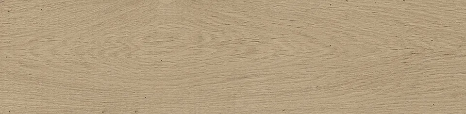 G340 FOREST ARCE 22x90 (плитка для підлоги і стін)