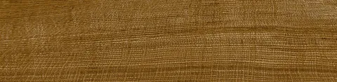 G372 OXFORD COGNAC 22x90 (плитка для підлоги і стін)