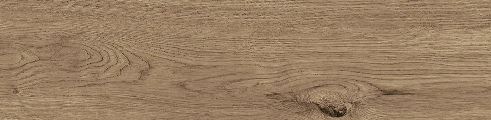 G384 DELAWARE NATURAL 29.4x120 (плитка для підлоги і стін)