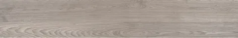 DELHI ASH POR.RE 19.4x120 (плитка для підлоги і стін)