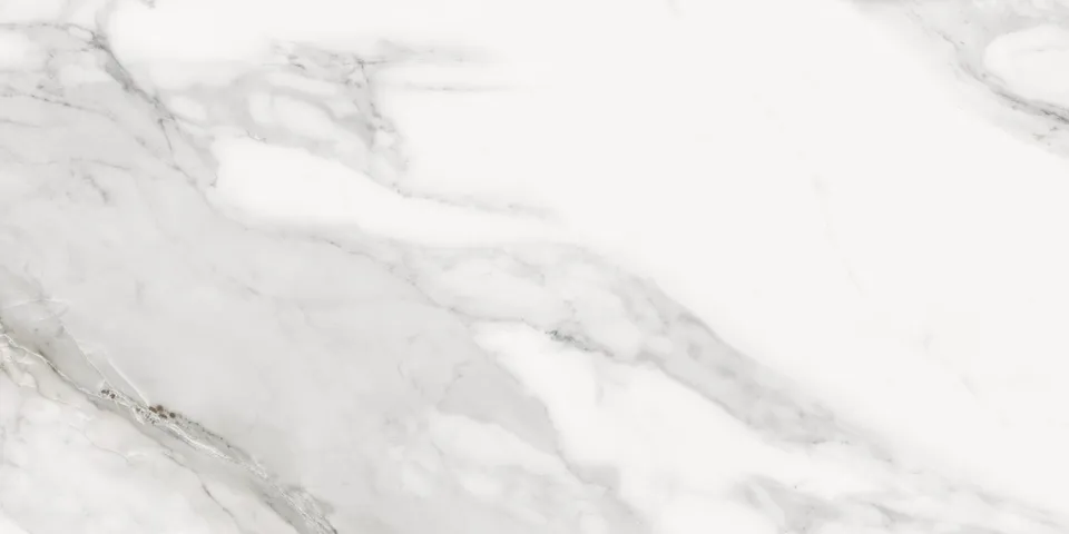MACCHIA VECCHIA LUX 120 SILVER 60х120 (плитка для підлоги і стін)
