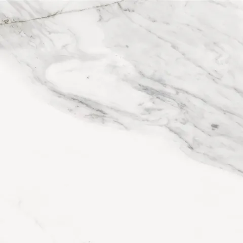 MACCHIA VECCHIA LUX 60 SILVER 60x60 (плитка для підлоги і стін)