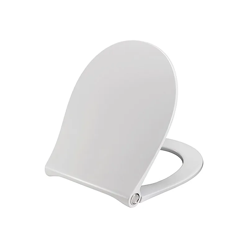 ACRO COMPACT Сидіння для унітазу з функцією Soft-Close біле (100268639)