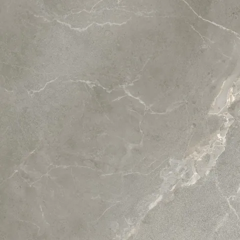 DUBAI LUX 60 TAUPE 60x60 (плитка для підлоги і стін)