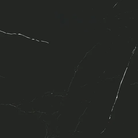 G354 LIEM BLACK 59.6х59.6 (плитка для підлоги і стін)