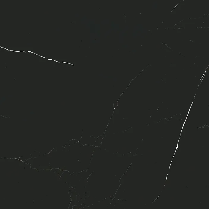 G354 LIEM BLACK 59.6х59.6 (плитка для підлоги і стін)