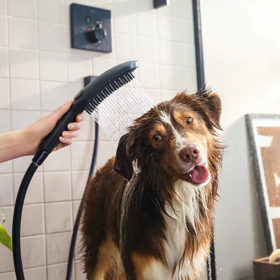 Ручний душ DogShower 150 3Jet Matt Black (26640670) — фото 2