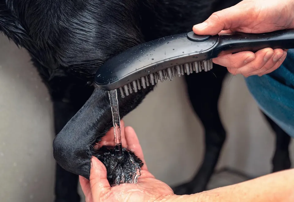 Ручний душ DogShower 150 3Jet Matt Black (26640670) — фото 4