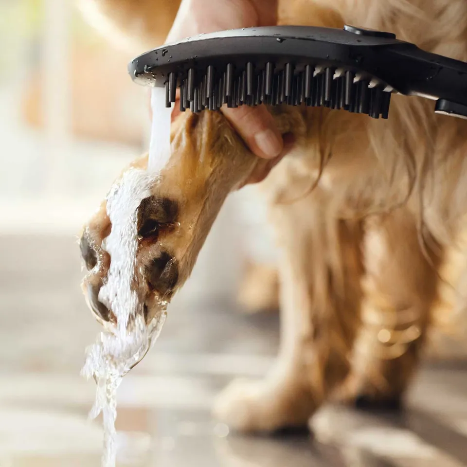 Ручний душ DogShower 150 3Jet Matt Black (26640670) — фото 6