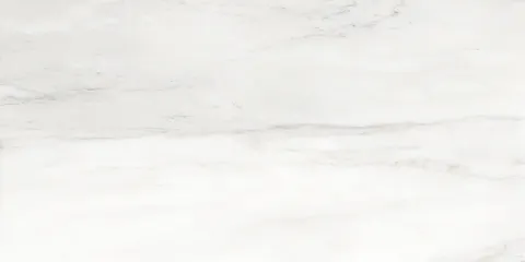 BIANCO DELICATTO POLISHED 60x120 (плитка для підлоги і стін)