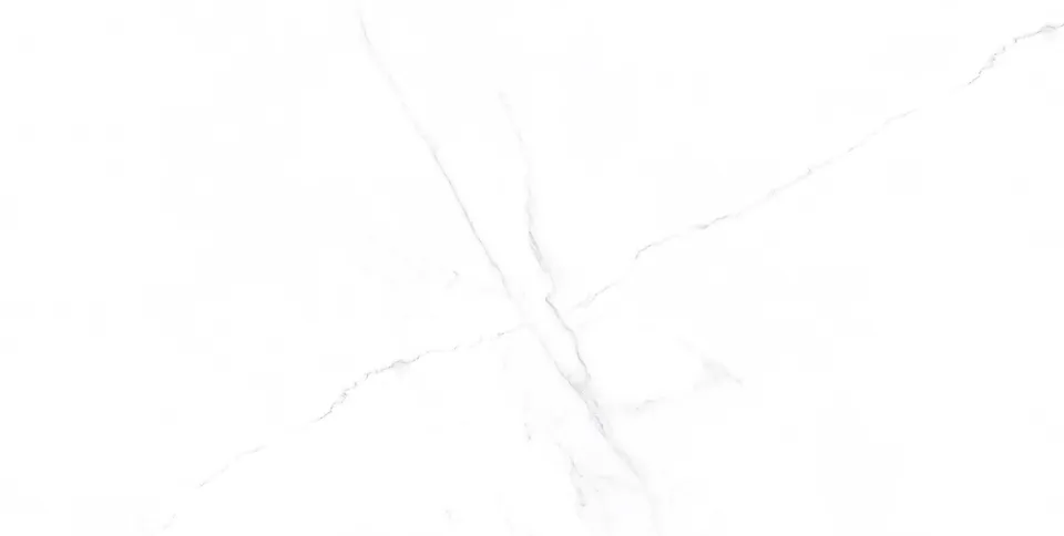 CALACATTA WHITE POLISHED 60x120 (плитка для підлоги і стін)