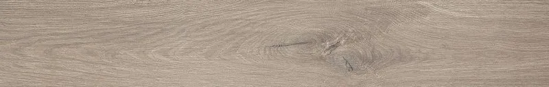 ROOTS TAUPE MATT R9 RT 20х120 (плитка для підлоги і стін) fPV0