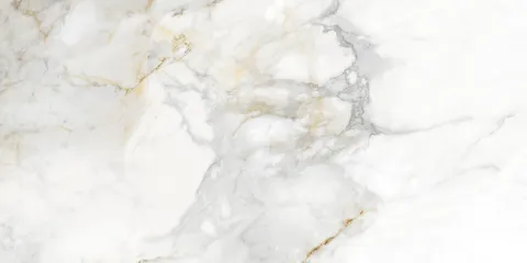 VITA GLOSS 49.1х98.2 (плитка для підлоги і стін)