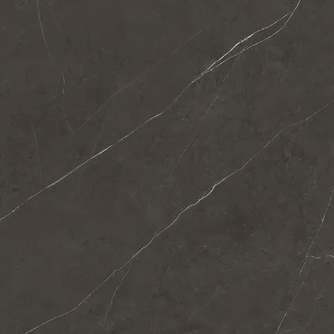 G2528 LIEM DARK NATURE 120x120 (плитка для підлоги і стін)