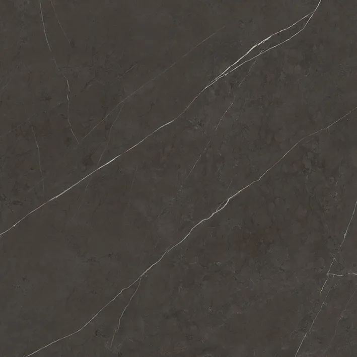G2528 LIEM DARK NATURE 120x120 (плитка для підлоги і стін)