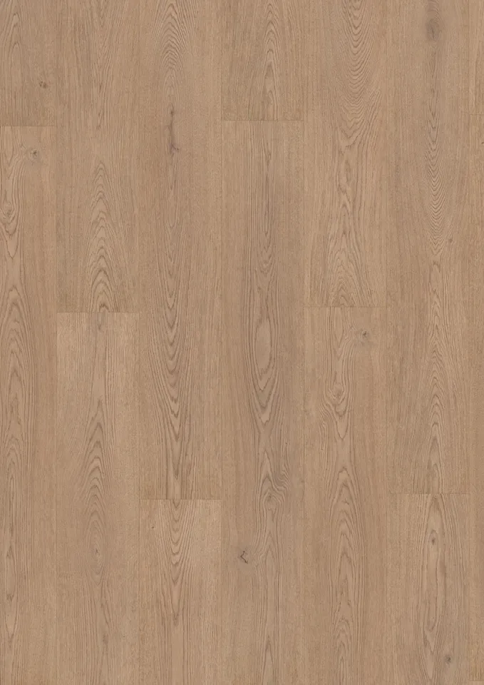 Roble FADO SOTAVENTO 339B Wood Impression 133.1х19.4 Finfloor Durable Evolve 4MV 33 кл 8 мм (ламінат)