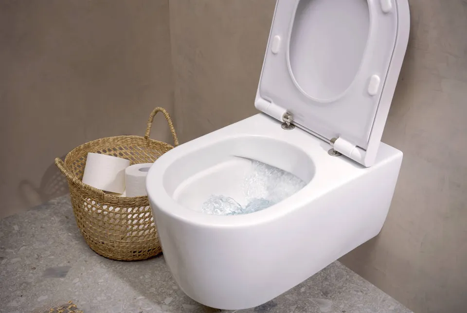 Унітаз підвісний EluPura S 540 мм AquaFall Flush 60193450 + сидіння soft close 60148450 — фото 2