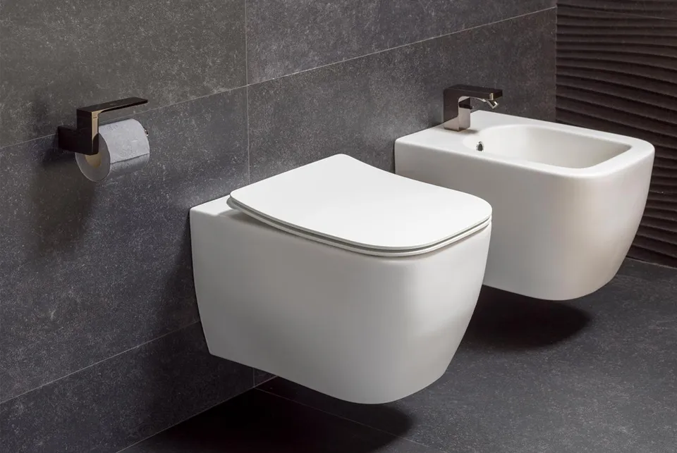 LOUNGE Сидіння для унітазу з функцією Soft-Close, білий матовий (100313077) — фото 2