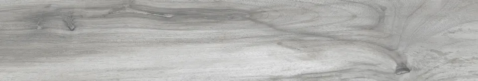 TASMANIA HAIL MAT 20x120 (плитка для підлоги і стін)
