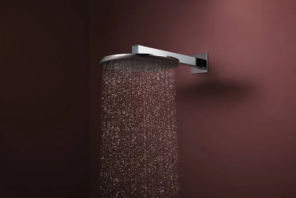 Верхній душ Raindance Alive S 300 2jet EcoSmart з тримачем Chrome (24541000) — фото 2