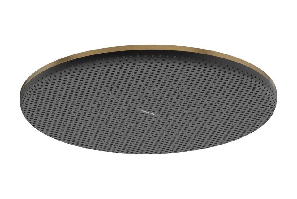 Верхній душ Raindance Alive S 300 1jet EcoSmart Brushed Bronze (24521140)