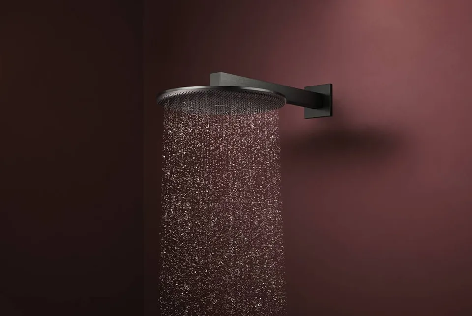 Верхній душ Raindance Alive S 300 2jet EcoSmart з тримачем Brushed Black Chrome (24541340) — фото 2
