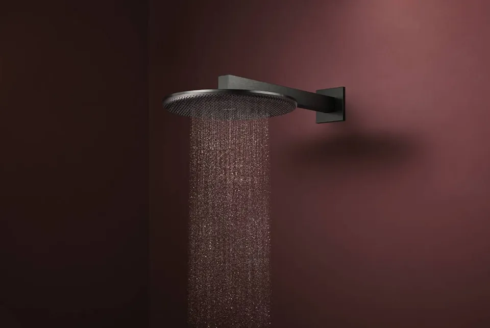 Верхній душ Raindance Alive S 300 2jet EcoSmart з тримачем Brushed Black Chrome (24541340) — фото 3
