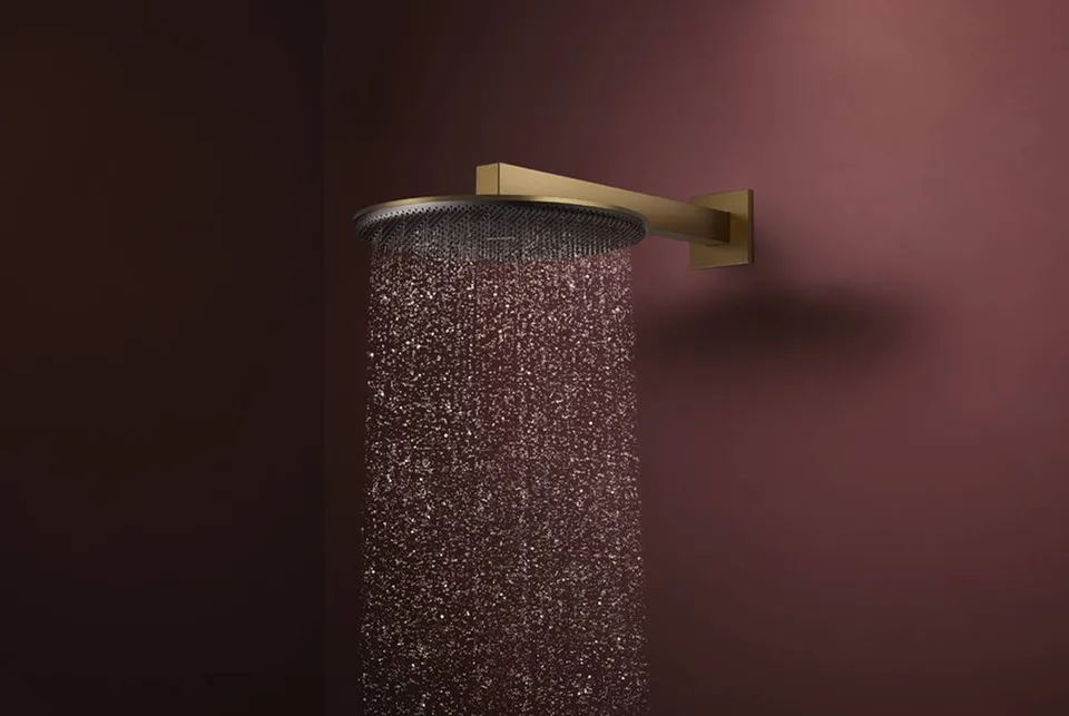 Верхній душ Raindance Alive S 300 2jet EcoSmart з тримачем Brushed Bronze (24541140) — фото 2