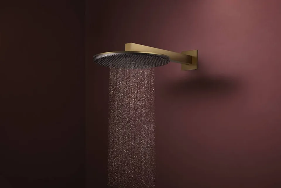 Верхній душ Raindance Alive S 300 2jet EcoSmart з тримачем Brushed Bronze (24541140) — фото 3