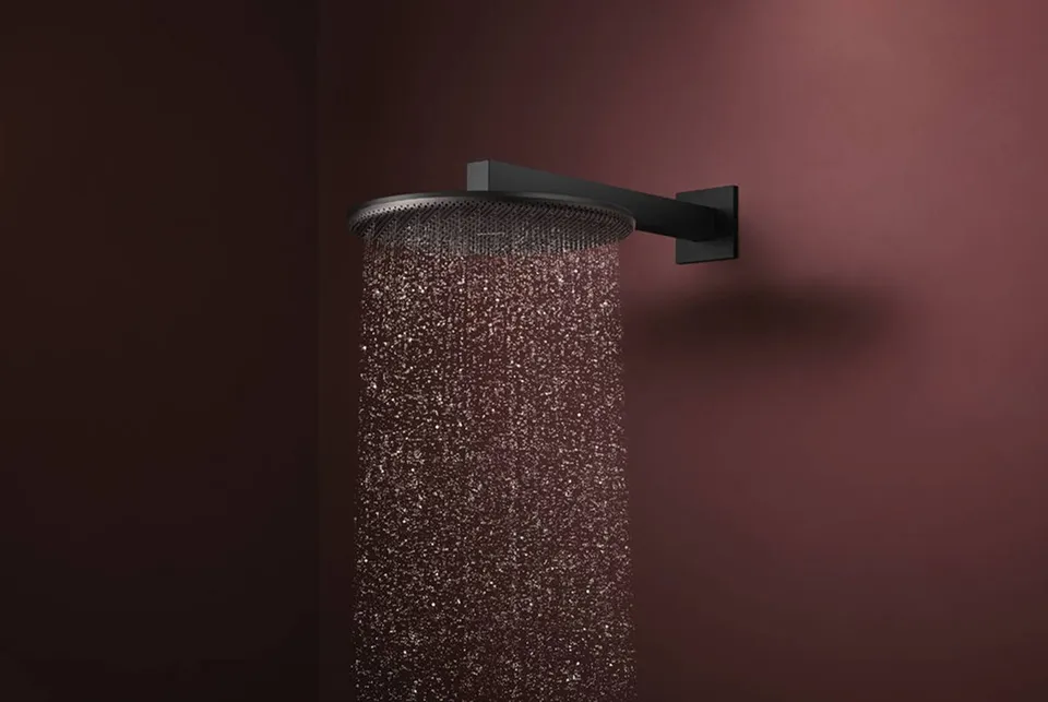 Верхній душ Raindance Alive S 300 2jet EcoSmart з тримачем Matt Black (24541670) — фото 2