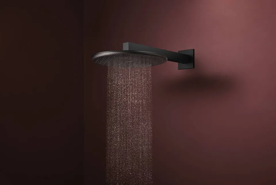 Верхній душ Raindance Alive S 300 2jet EcoSmart з тримачем Matt Black (24541670) — фото 3