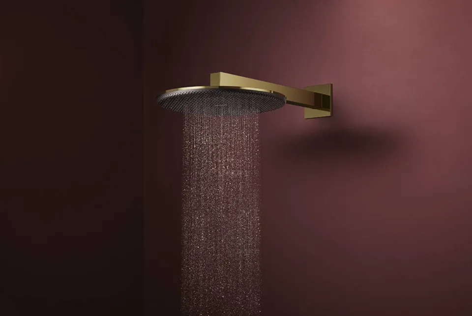 Верхній душ Raindance Alive S 300 2jet EcoSmart з тримачем Polished Gold Optic (24541990) — фото 3
