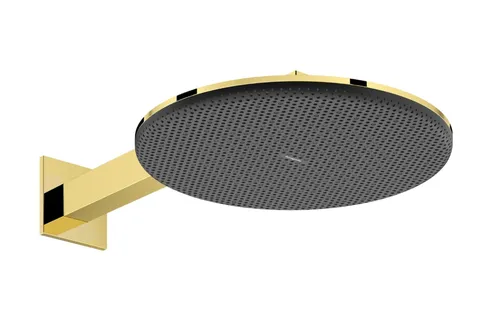 Верхній душ Raindance Alive S 300 2jet з тримачем Polished Gold Optic (24540990)
