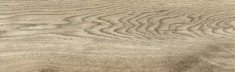 RUSTIC WOOD темно-бежевий 20х65 RWHP70 (плитка для підлоги і стін)