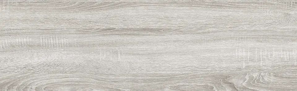 SCANDIC WOOD cвітло-сірий 20х65 SAGP70 (плитка для підлоги і стін)