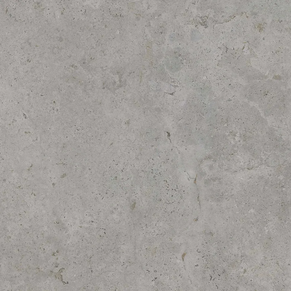 CAMPER GREY 120x120 (плитка для підлоги і стін)