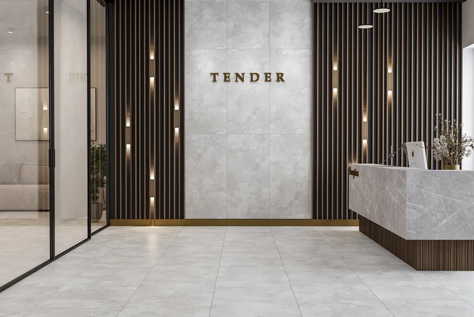 TENDER світло-сірий 60х60 matt TNG580 (плитка для підлоги і стін) — фото 2