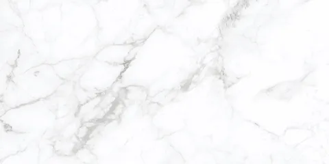 CALACATTA SILVER білий 60х120 matt AG0980 (плитка для підлоги і стін)