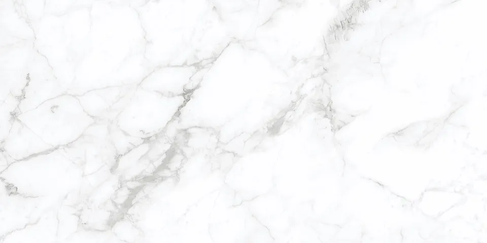 CALACATTA SILVER білий 60х120 matt AG0980 (плитка для підлоги і стін)