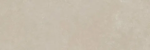 MP66 ROOM WALL TAUPE RETT 30x90 (плитка настінна)