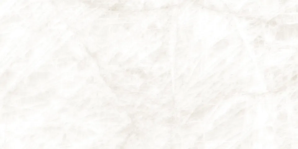 LUXE SNOW 004 POLISH 60x120 (плитка для підлоги і стін)